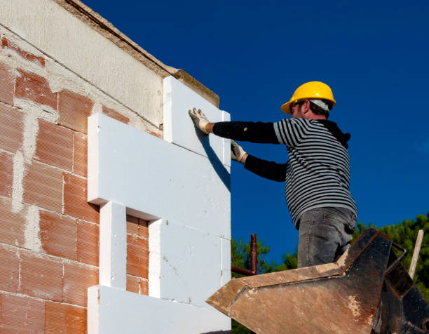 Best Insulation Replacement Services  in Villa Ridge, MO