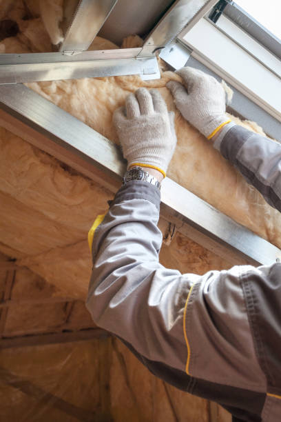 Best Insulation Repair Services  in Villa Ridge, MO