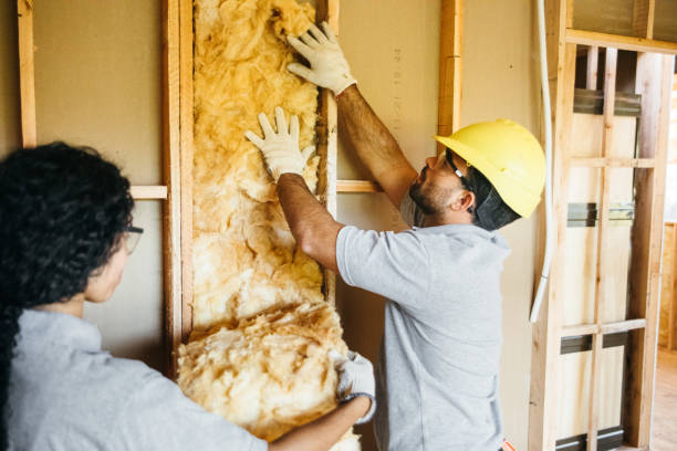 Best Spray Foam Insulation  in Villa Ridge, MO
