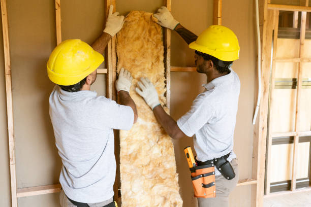 Best Insulation Contractor Near Me  in Villa Ridge, MO