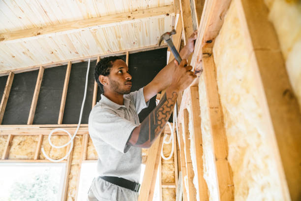 Best Wall Insulation Contractor  in Villa Ridge, MO