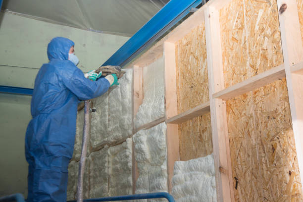 Best Home Insulation Services  in Villa Ridge, MO