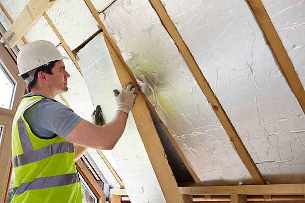 Best Garage Insulation Installation  in Villa Ridge, MO