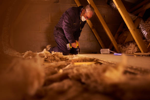 Best Cellulose Insulation  in Villa Ridge, MO